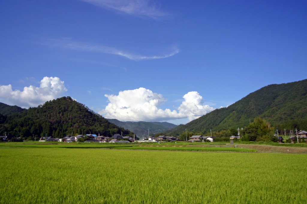 今すぐ住みたくなる!?三田市への移住の魅力 | アルファジャーナル