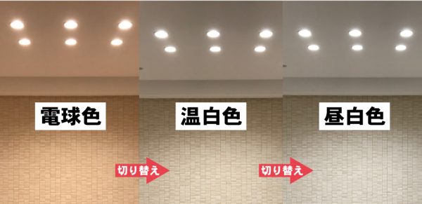 修士号 セブン 経過 ダウン ライト 電球 色 hamakyu.jp