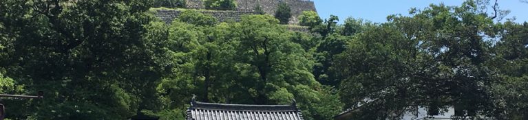 イベントが盛りだくさんの丸亀市