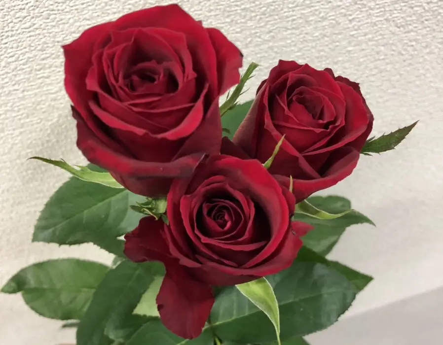 11月のフラワーアレンジメント｜花を使った素敵なテーブル
