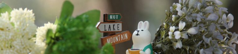 ピクニックに最適な公園【四国編】