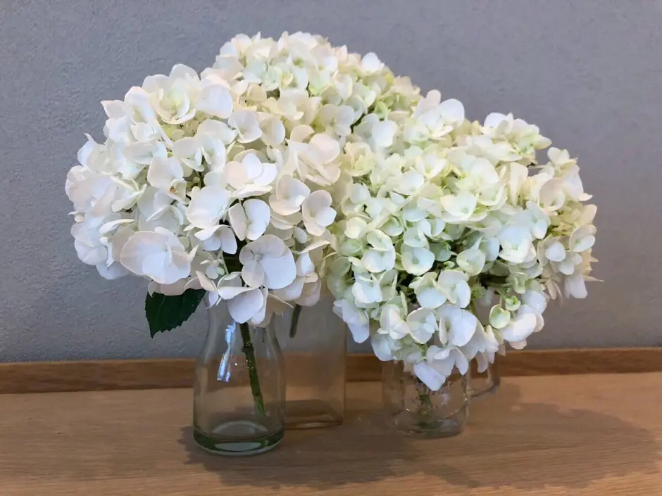 6月のフラワーアレンジメント｜旬の紫陽花を使ったアレンジ－花のある
