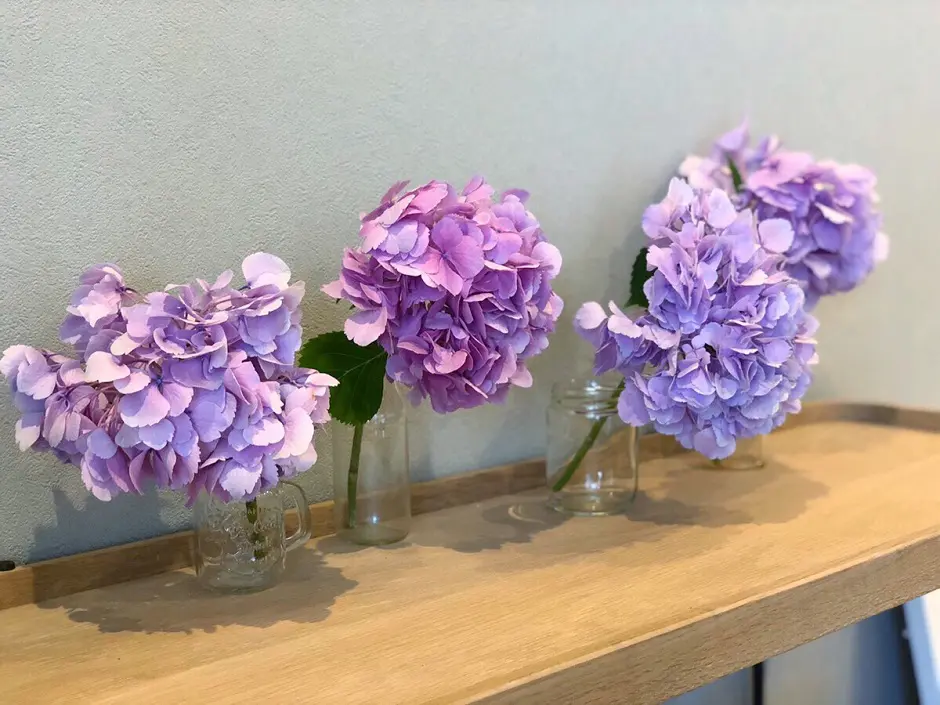 6月のフラワーアレンジメント｜旬の紫陽花を使ったアレンジ－花のある