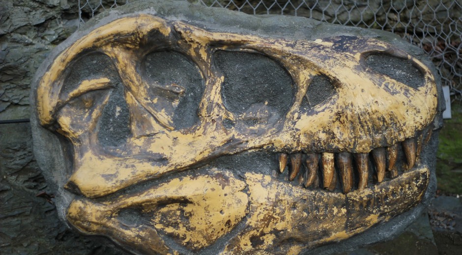 恐竜化石