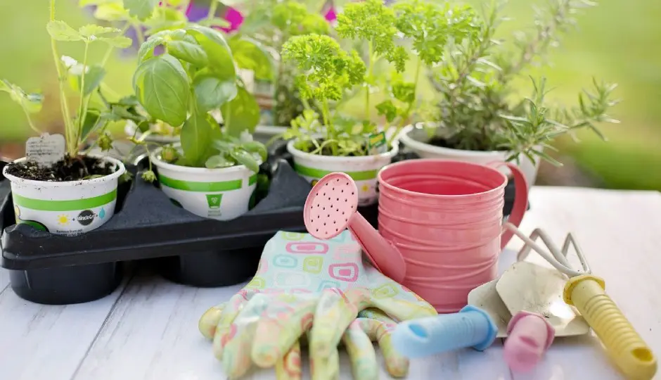 BlueSky社製インテリアプランター