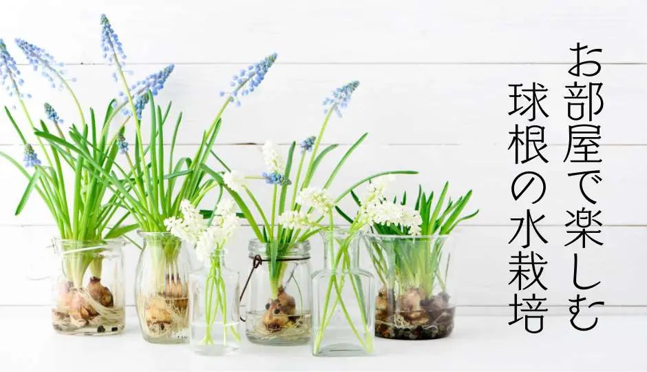 特売！超人気☆ 新品 アイデアがかかる 水栽培 インテリア飾り 花瓶 ミニ花器 H58