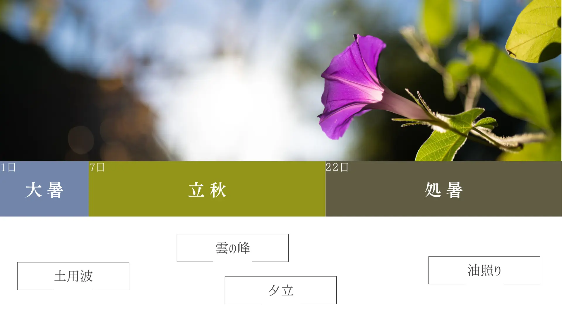 くらしの歳時記【2024年8月・葉月】 | アルファジャーナル