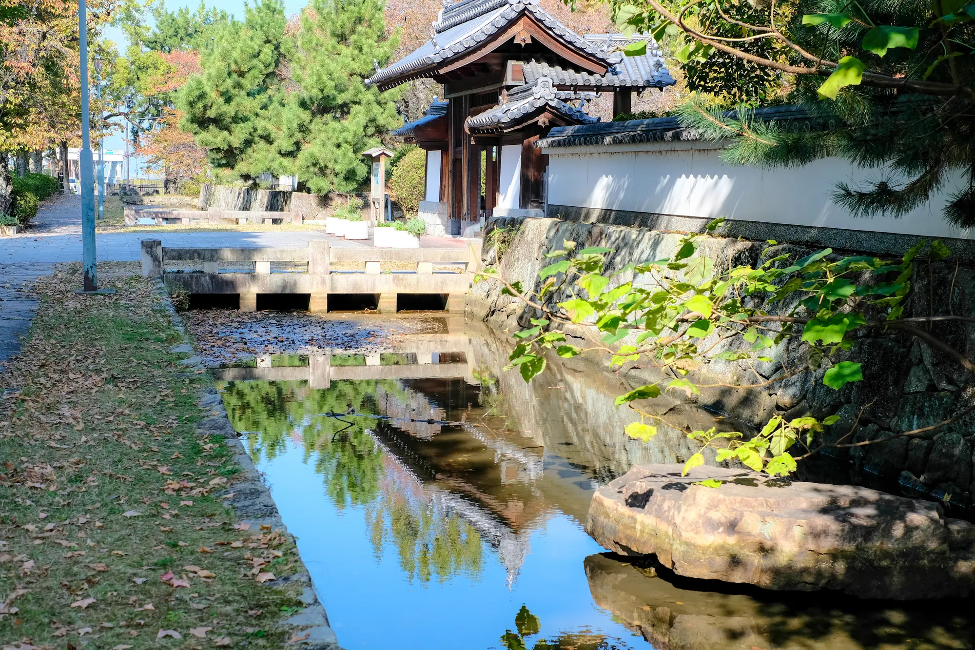 湖畔 新メンバー加入のお知らせ🦭🍼 5月7日、常呂町のサロマ湖の湖岸で