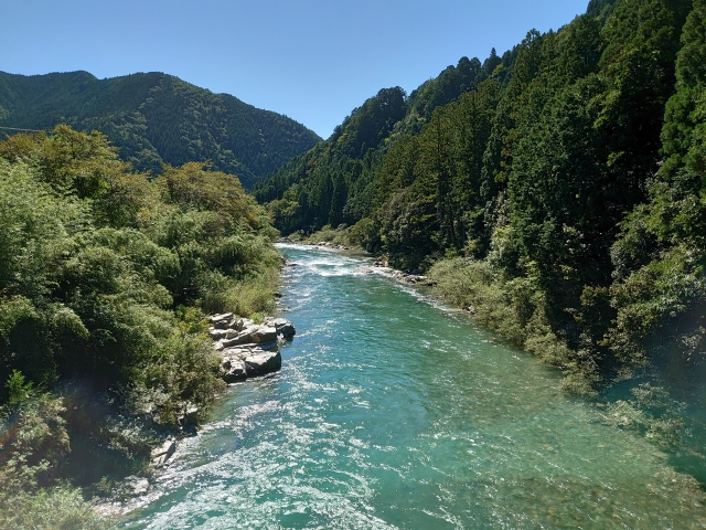 山滴る