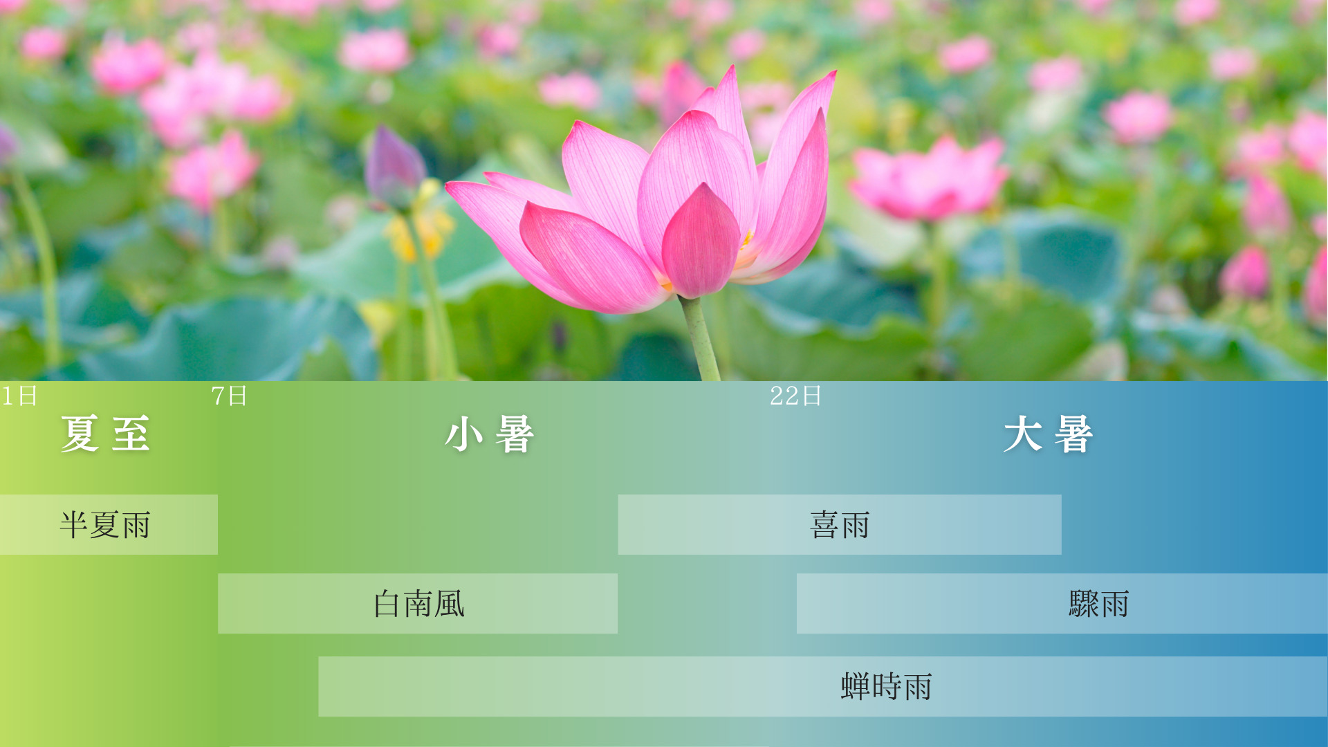 2025年7月の自然解説