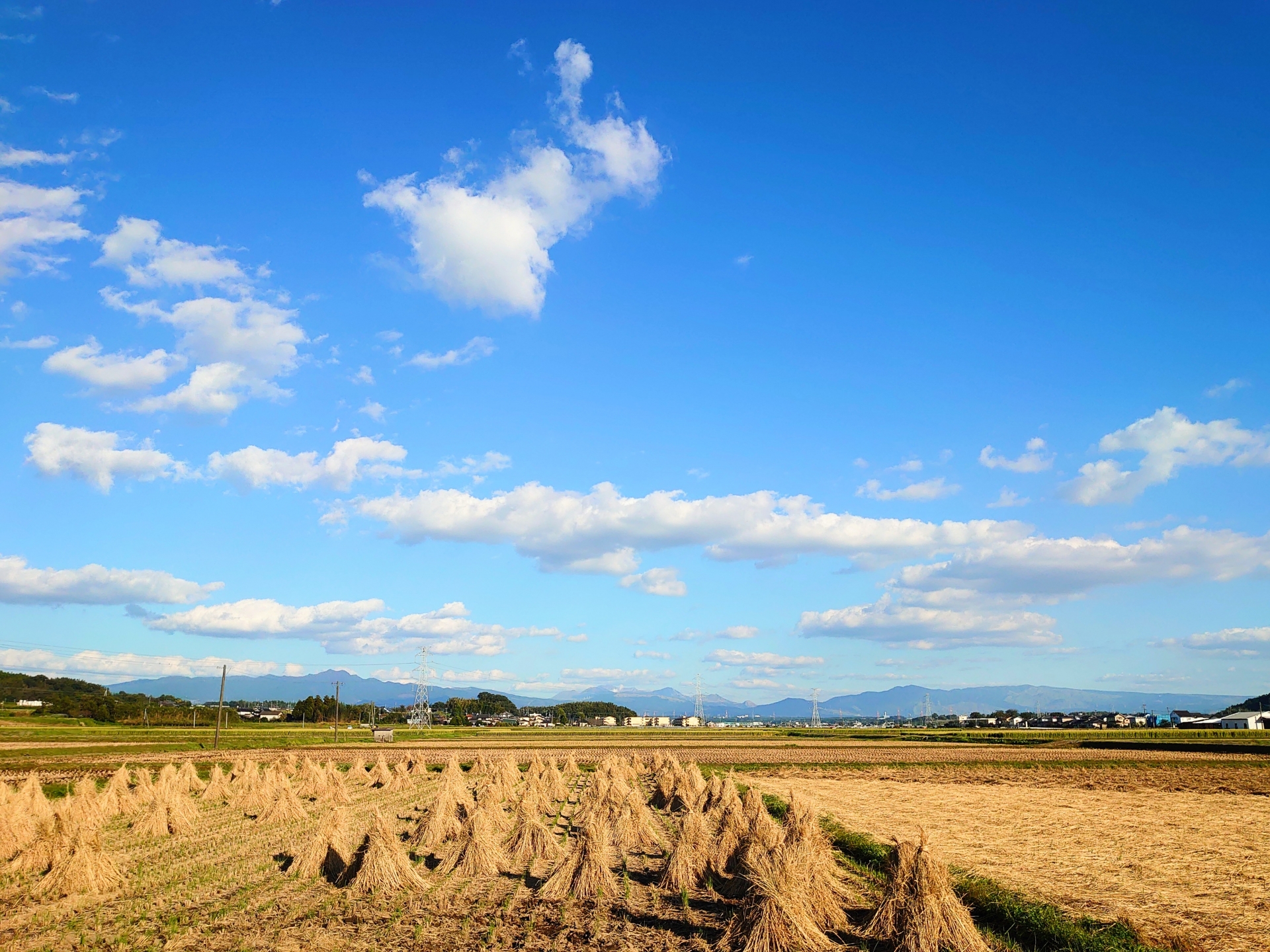 秋の収穫のイメージ