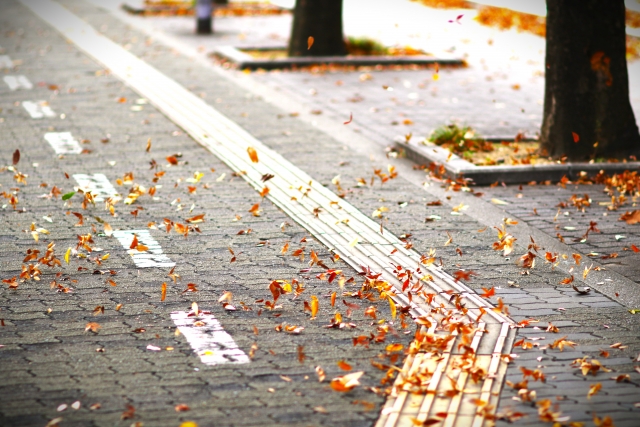 木枯らしのイメージ