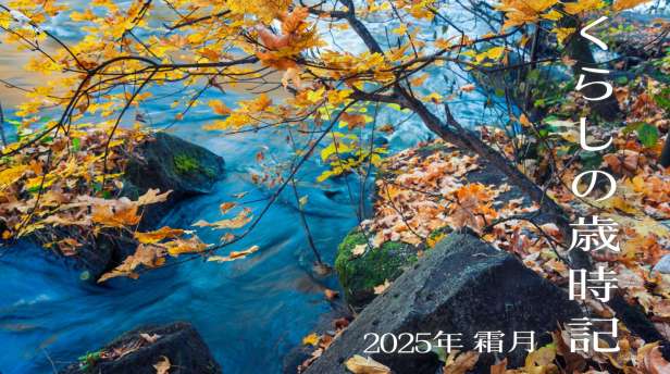 くらしの歳時記2025年11月