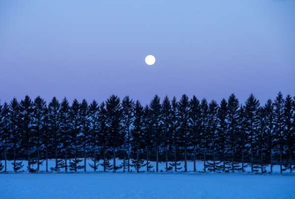 月冴ゆるのイメージ