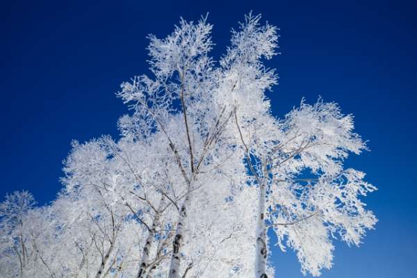 寒晴れのイメージ