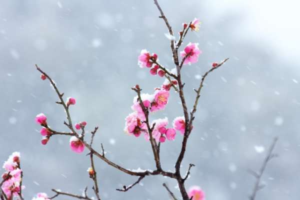 冴え返るのイメージ