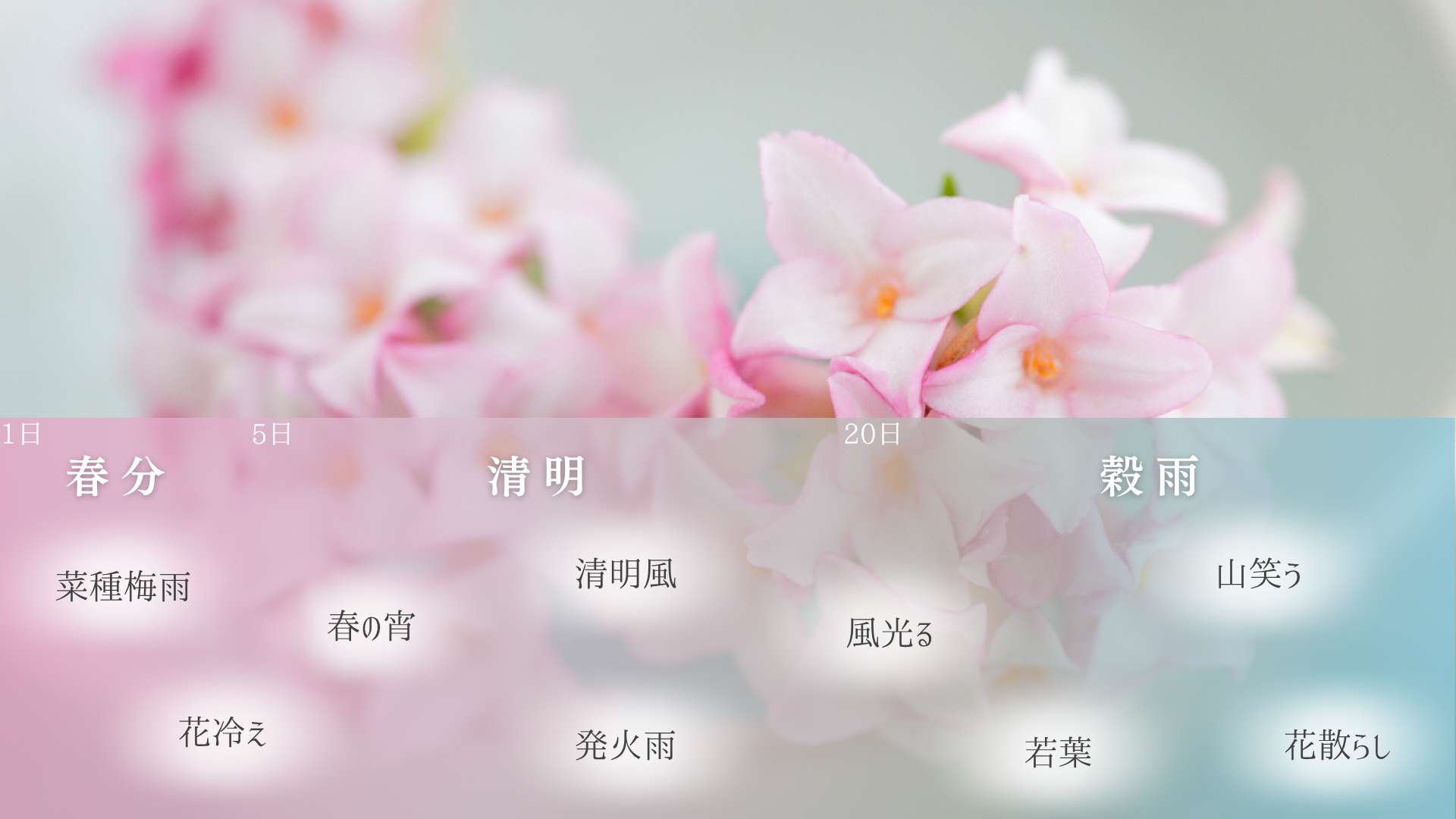 4月の自然を表す「ことば」