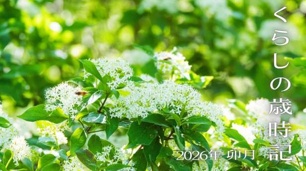くらしの歳時記【2026年4月・卯月】