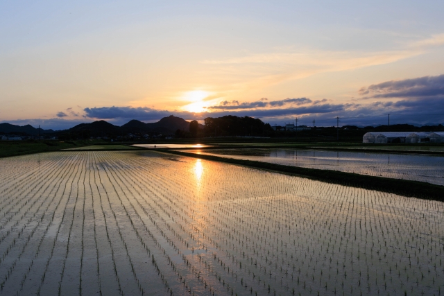 夕薄暑のイメージ