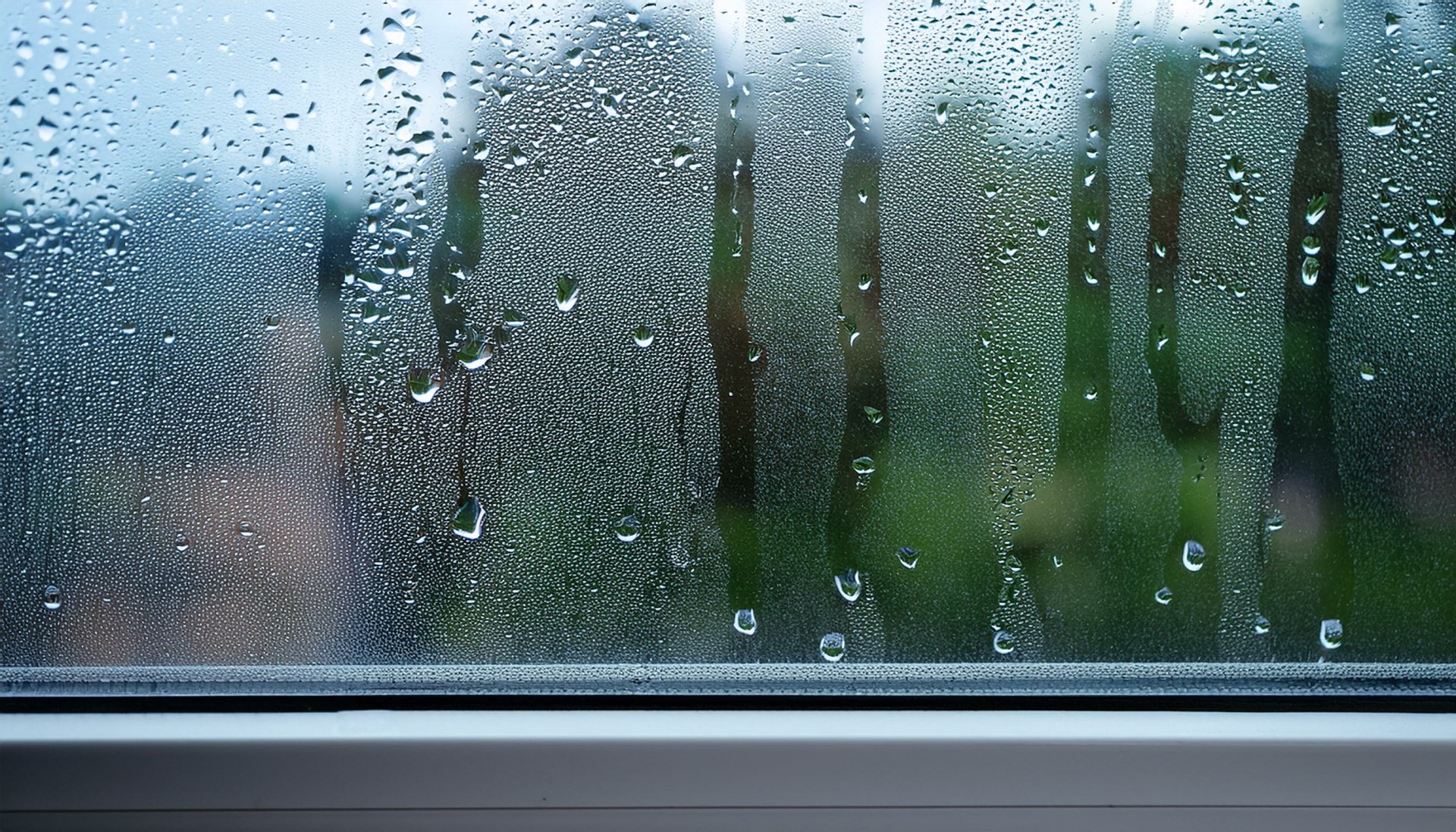 mold-prevention02