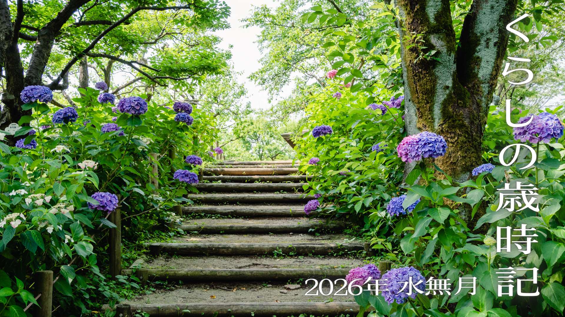 くらしの歳時記【2026年6月・水無月】