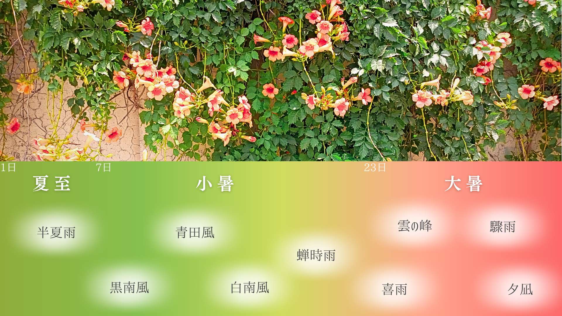7月の自然を表す「ことば」