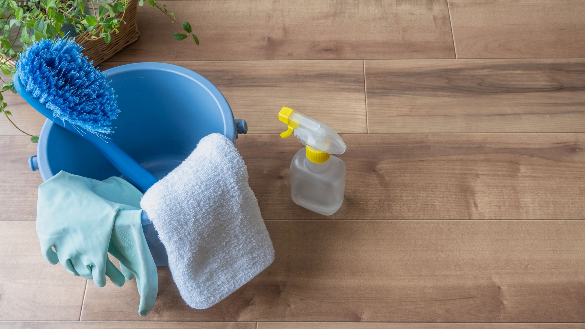 1.major-cleanup-autumn