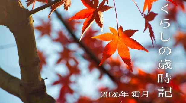 くらしの歳時記【2026年霜月】