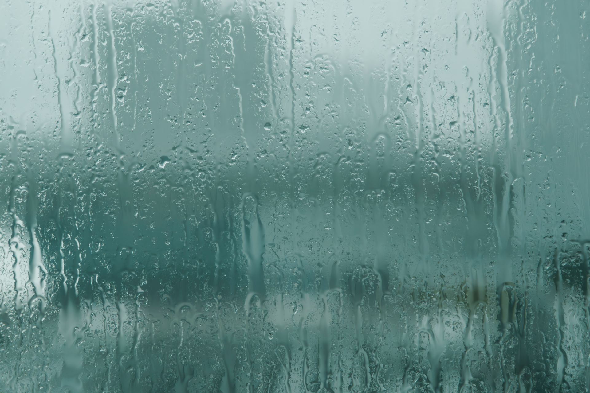 against-ticks-before-rainy-season1