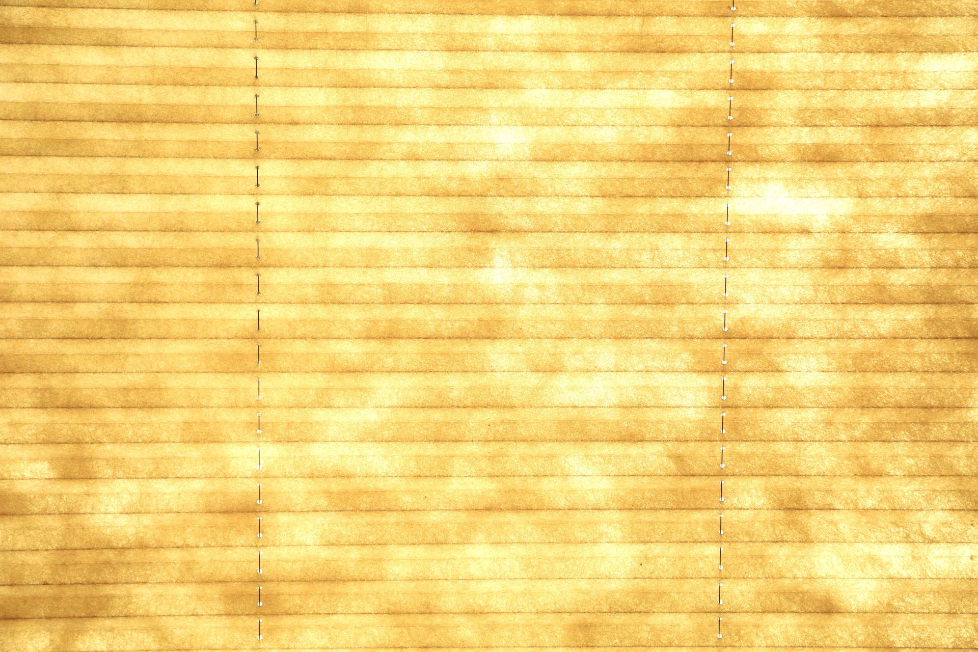 blind09