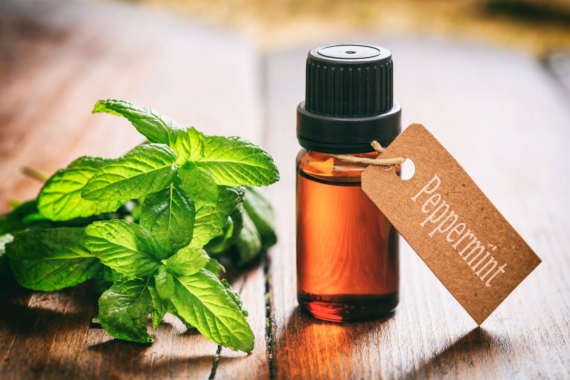 summer-essential-oil-blends_peppermint