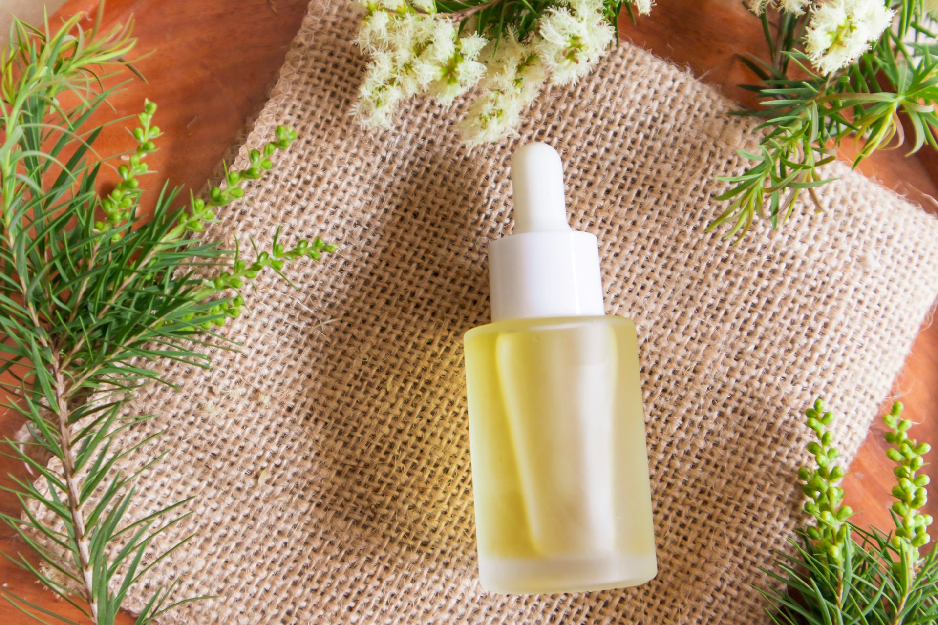 summer-essential-oil-blends_tea-tree