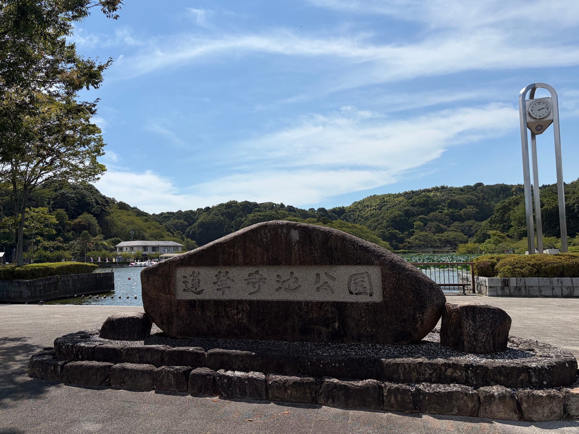 fujieda19