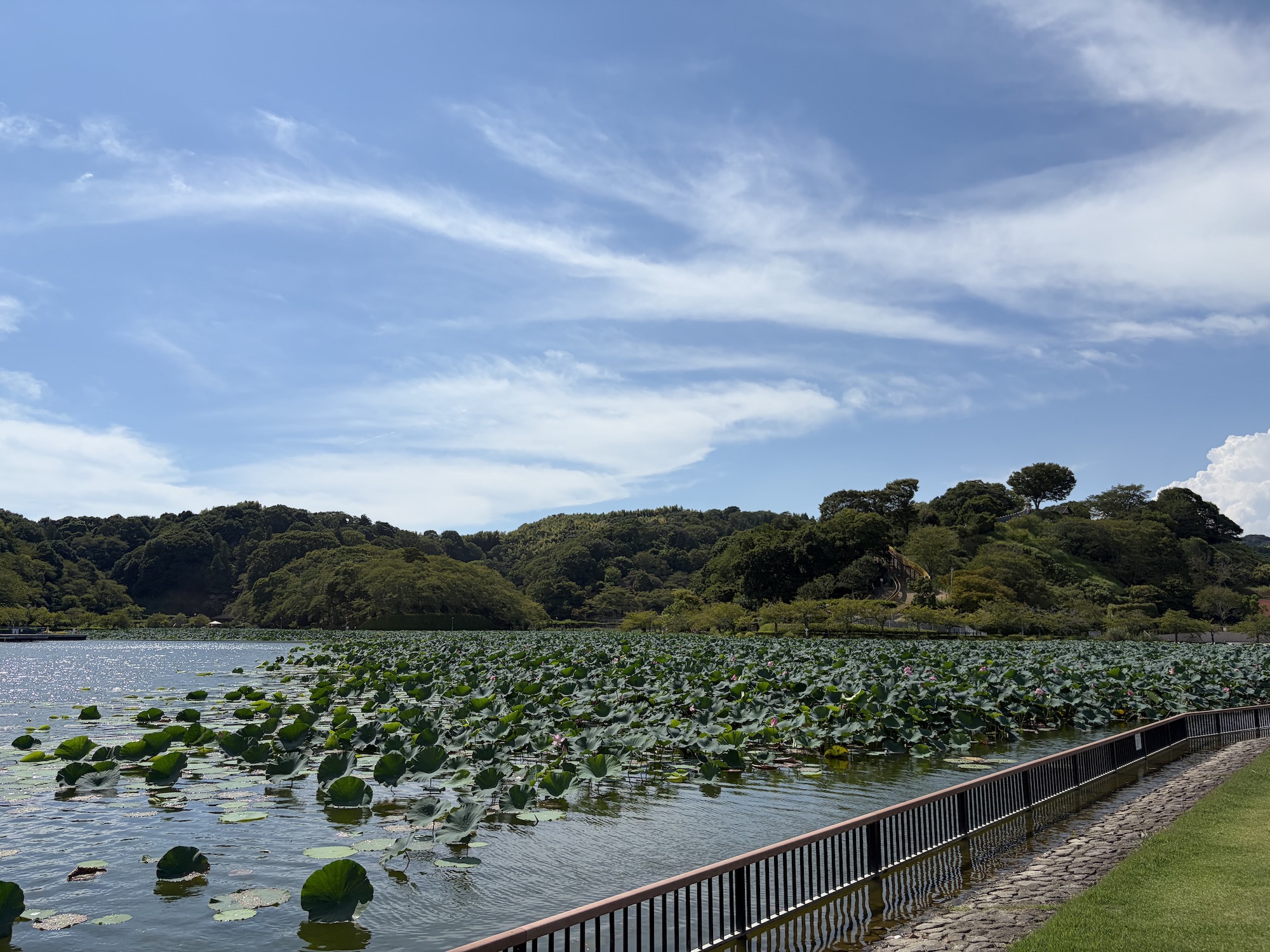 fujieda20