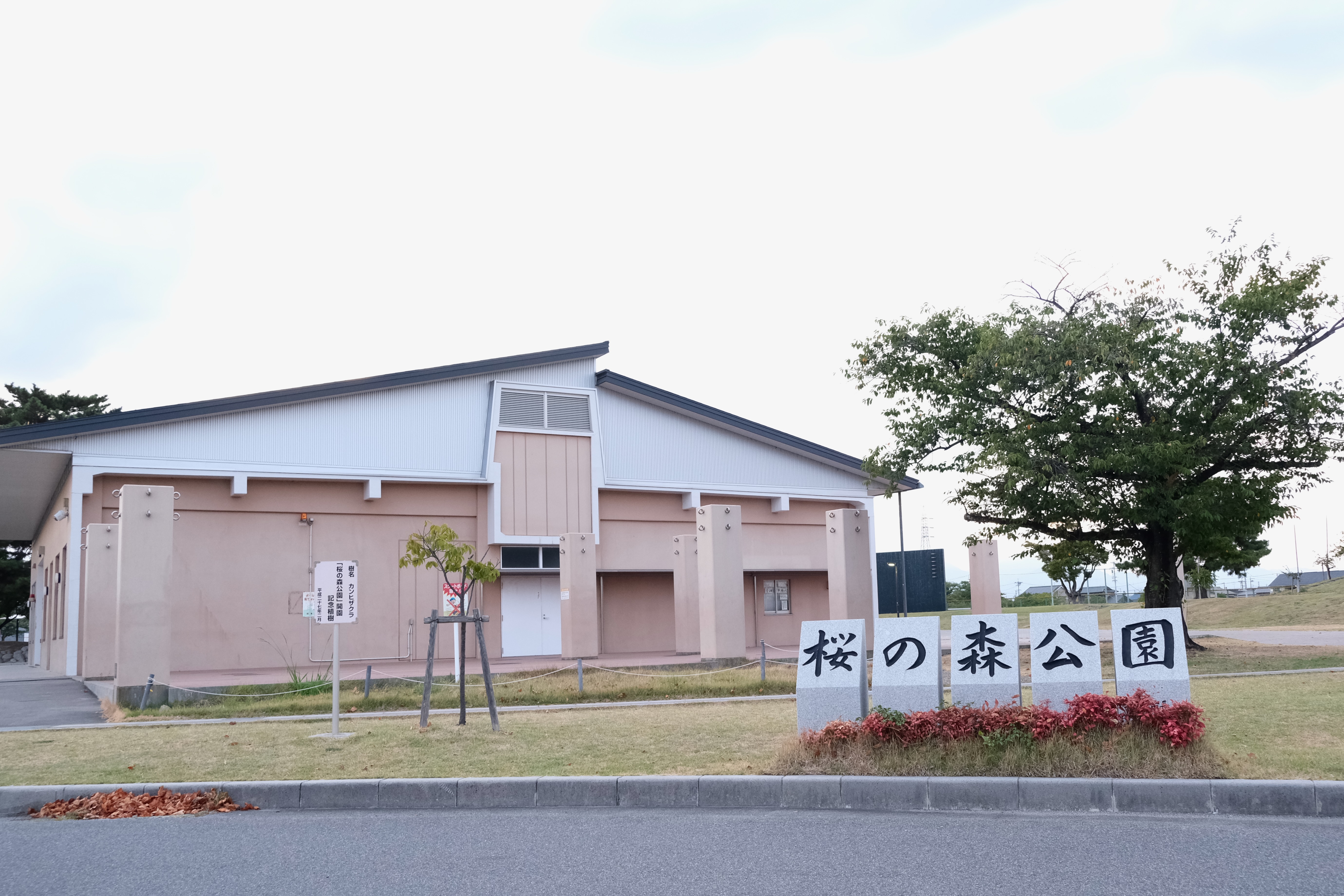 shiroko2