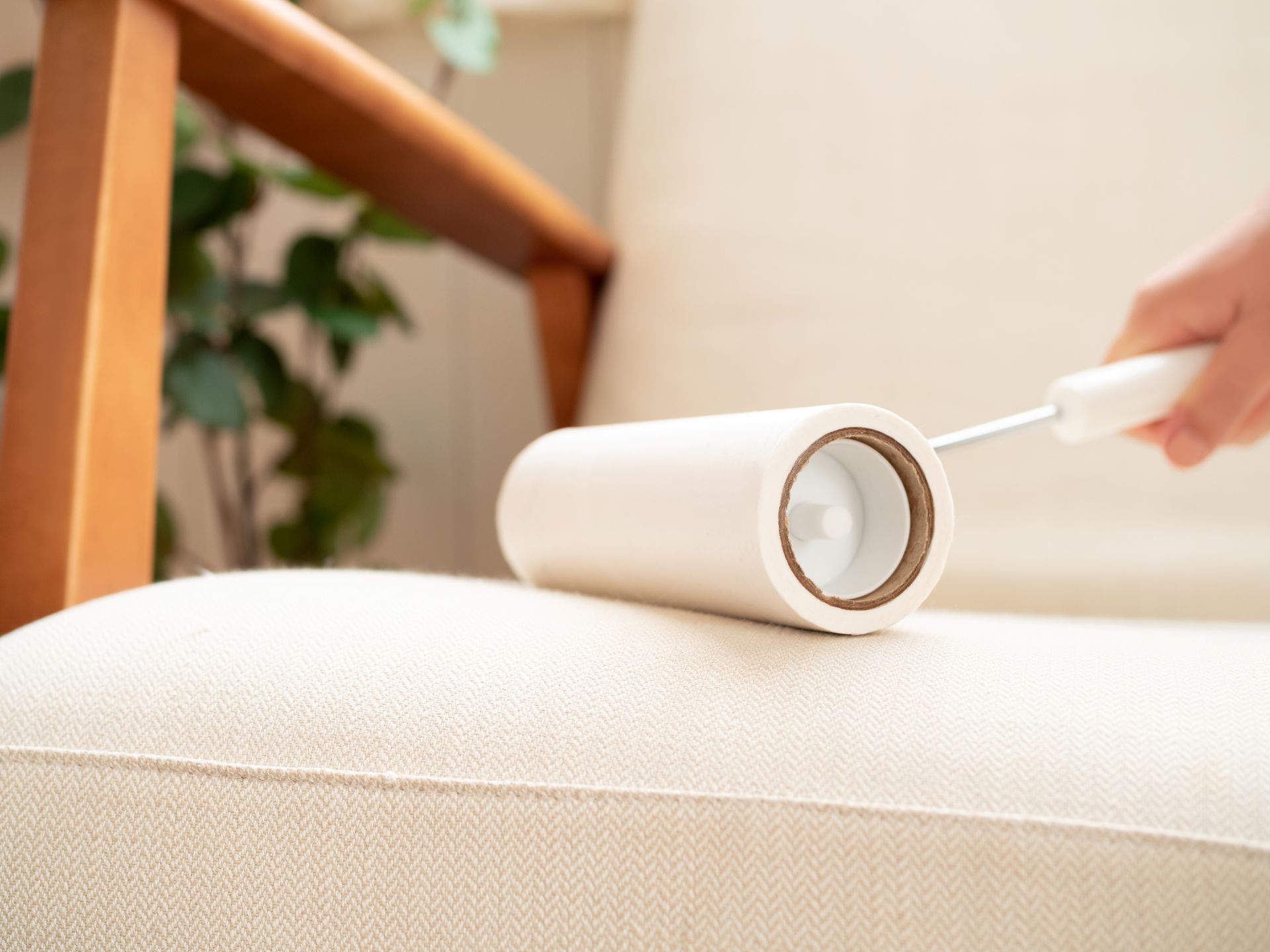 sofa-maintenance2
