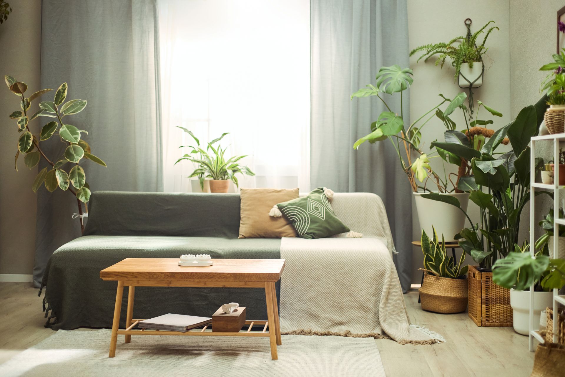 sofa-maintenance4